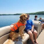 Do Dogs Need a Life Jacket on a Pontoon Boat